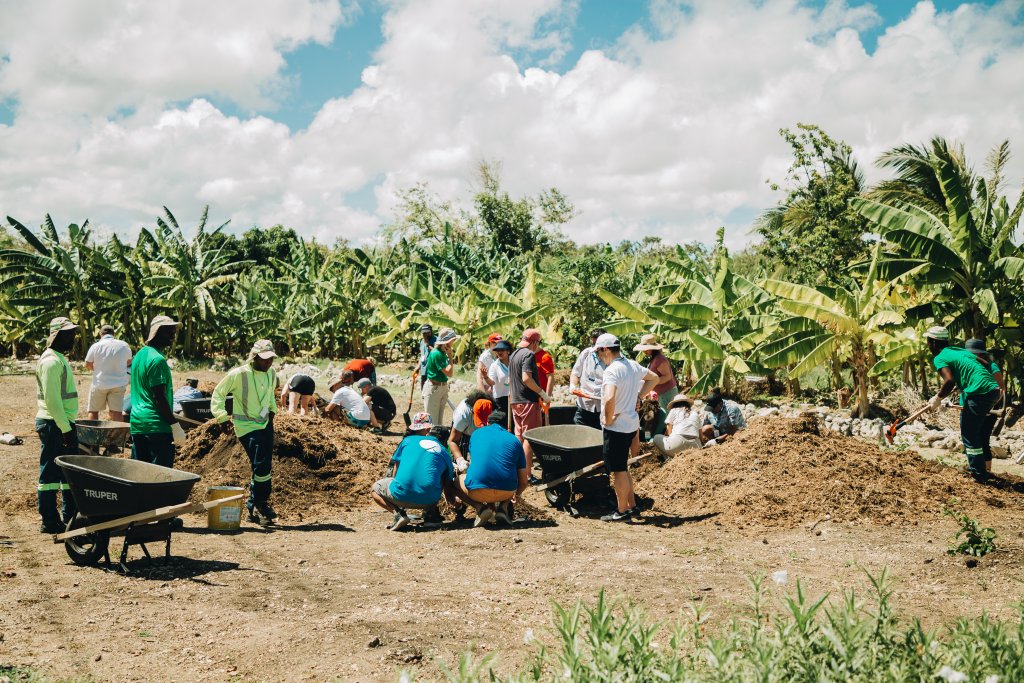 A group of people digging in a field.